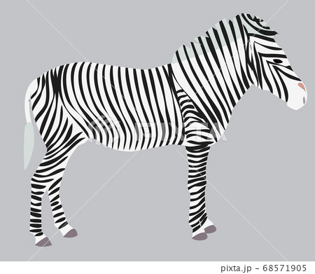 Sketch wild animal zebra print, silhouette. Wild Sketch wild animal zebra print, silhouette. Wild 68571905