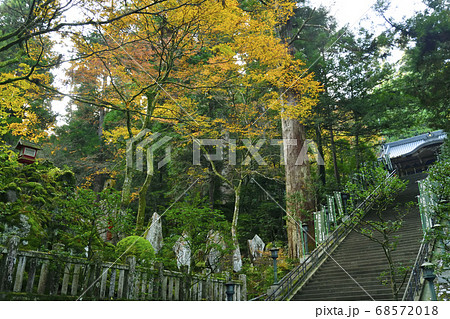 モミジの名所 大雄山最乗寺の紅葉の写真素材