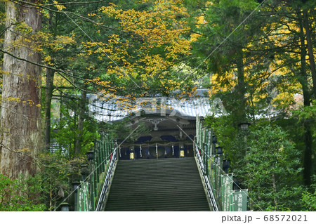 モミジの名所　大雄山最乗寺の紅葉 68572021