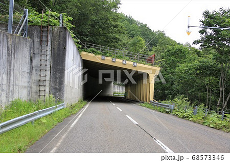 渓雲覆道(北海道遠軽町白滝) 渓雲覆道(北海道遠軽町白滝) 68573346