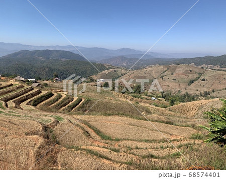 northern Thailand village terraces farm in Baan Pa Bong Piang at northern Thailand 68574401