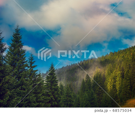 Misty mountain landscape 68575034