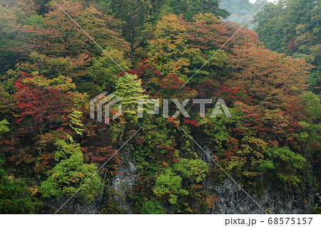 紅葉の梵字川渓谷 紅葉の梵字川渓谷 68575157