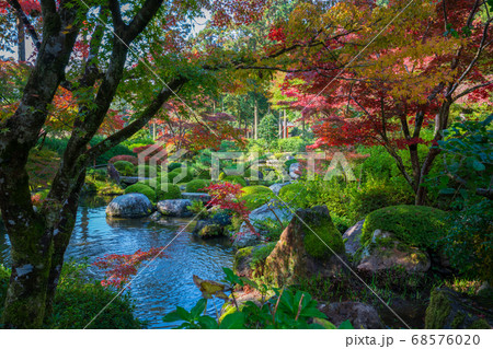 京都 三室戸寺の紅葉 京都 三室戸寺の紅葉 68576020