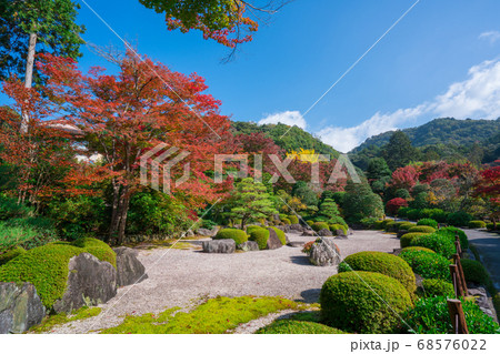 京都 三室戸寺の紅葉 京都 三室戸寺の紅葉 68576022