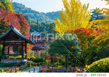 京都　三室戸寺の紅葉 68576030