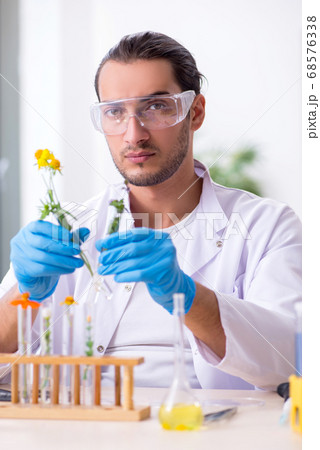 Young male chemist working in the lab Young male chemist working in the lab 68576338