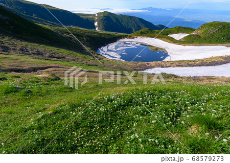 鳥海湖と高山植物(ハクサンイチゲ、チングルマ) 鳥海湖と高山植物(ハクサンイチゲ、チングルマ) 68579273