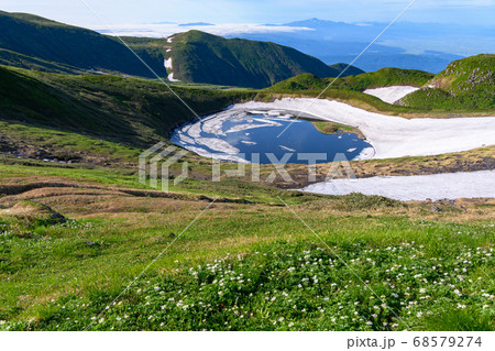 鳥海湖と高山植物(ハクサンイチゲ、チングルマ) 鳥海湖と高山植物(ハクサンイチゲ、チングルマ) 68579274