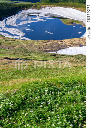 鳥海湖と高山植物（ハクサンイチゲ、チングルマ） 68579275