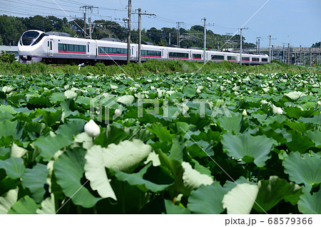 蓮田と常磐線特急E653系特急電車 68579366