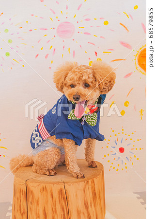 夏祭り気分 夏祭り気分 68579855