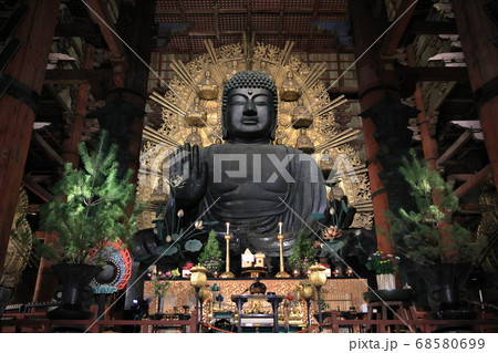 奈良の大仏 68580699