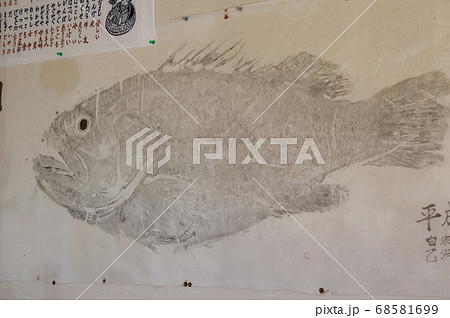 モロコの魚拓 モロコの魚拓 68581699