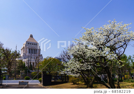 国会議事堂の外観【日本の政治のイメージ】 国会議事堂の外観【日本の政治のイメージ】 68582219