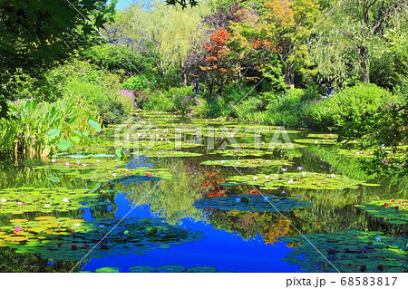 【高知県】睡蓮が咲くモネの庭の池 68583817