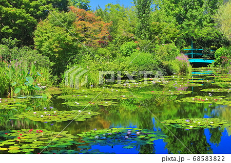【高知県】睡蓮が咲くモネの庭の池 68583822