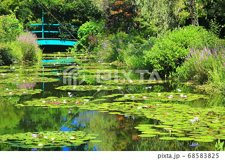 【高知県】睡蓮が咲くモネの庭の池 68583825