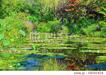 【高知県】睡蓮が咲くモネの庭の池 68583828
