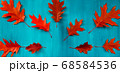 Red oak leaves pattern on a blue background 68584536
