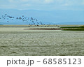 鳥 海 夏 68585123