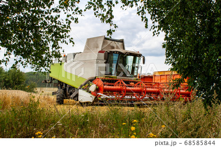 Combine harvester stands between trees wheat field Combine harvester stands between trees wheat field 68585844