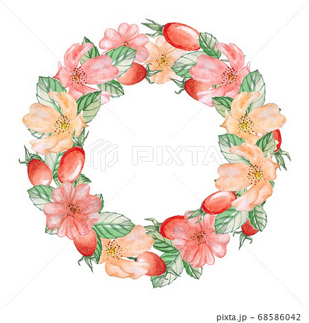 A wreath of rose hips 1. Watercolor illustration.Hand drawing. Decorative element for greeting card, Invitation card. 68586042