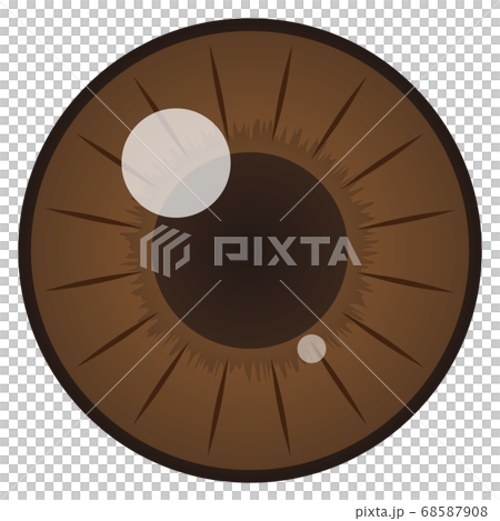 pupil pupil 68587908