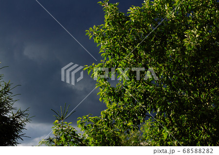 Nature Environment Dark cloud sky. Thunderstorm 68588282