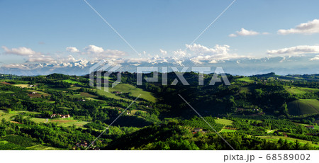 vineyards and hills of langhe panorama vineyards and hills of langhe panorama 68589002