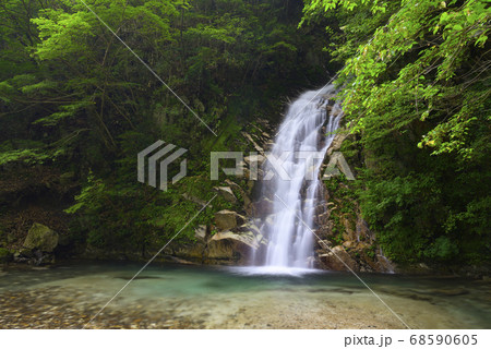長尾滝 宇賀渓(三重県いなべ市) 長尾滝 宇賀渓(三重県いなべ市) 68590605