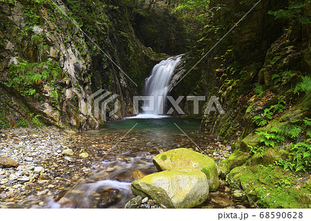 魚止滝　宇賀渓（三重県いなべ市） 68590628