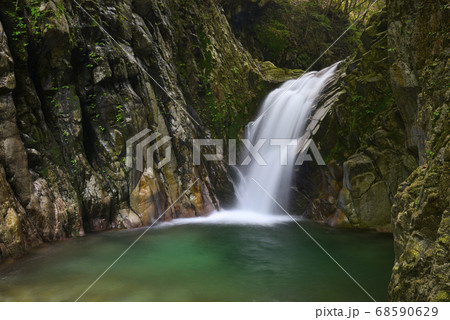 魚止滝　宇賀渓（三重県いなべ市） 68590629