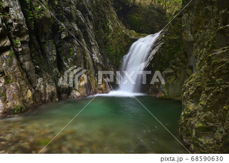 魚止滝　宇賀渓（三重県いなべ市） 68590630