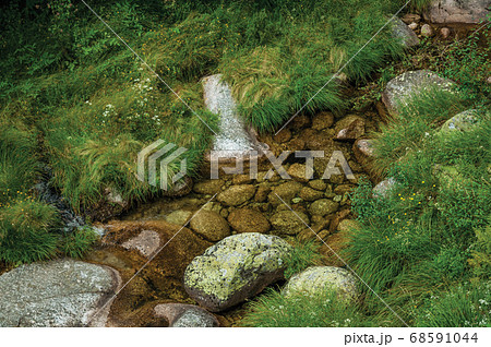Crystal clear water in a stream running through rocks and green plants Crystal clear water in a stream running through rocks and green plants 68591044