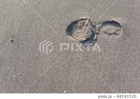 砂浜に残った足あと 砂浜に残った足あと 68591520