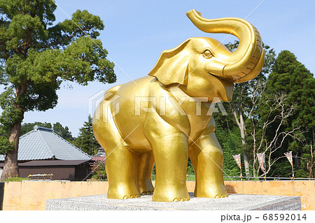 吉ゾウくんのお寺 吉ゾウくんのお寺 68592014