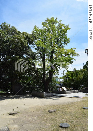 有岡城 68592895
