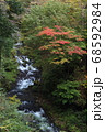 榛名神社参道脇の渓流沿いの紅葉風景 68592984