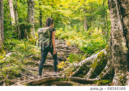 Forest hike trail hiker woman walking in autumn fall nature background in fall season. Hiking active people lifestyle wearing backpack exercising outdoors 68593166