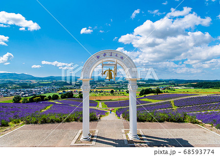 北海道富良野町 日の出公園ラベンダー園 愛の鐘 北海道富良野町 日の出公園ラベンダー園 愛の鐘 68593774