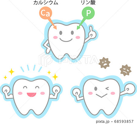 フッ素の効果 かわいい歯のイラスト素材