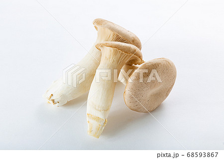 エリンギ 素材 エリンギ 素材 68593867