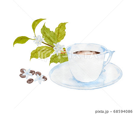 コーヒーカップとコーヒーの木のイラスト素材