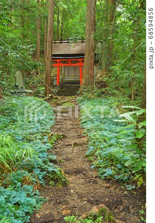 秩父散歩：琴平神社 68594856
