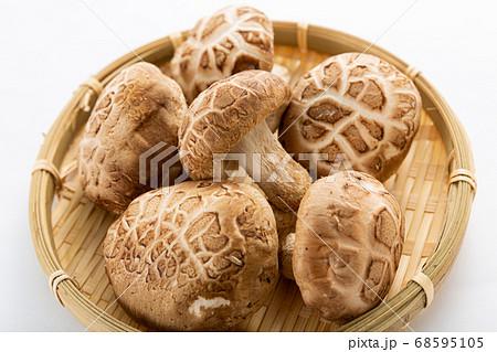 椎茸イメージ 椎茸イメージ 68595105