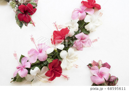 colorful flower pink red white hibiscus floral of asia arrangement flat lay postcard style colorful flower pink red white hibiscus floral of asia arrangement flat lay postcard style 68595611