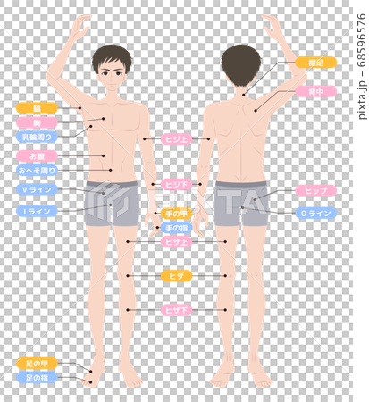 脱毛箇所　全身　男性　インナー着用 68596576