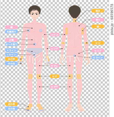 脱毛箇所 全身 男性 脱毛箇所 全身 男性 68596578