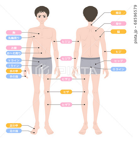 脱毛箇所 全身 男性 インナー着用のイラスト素材